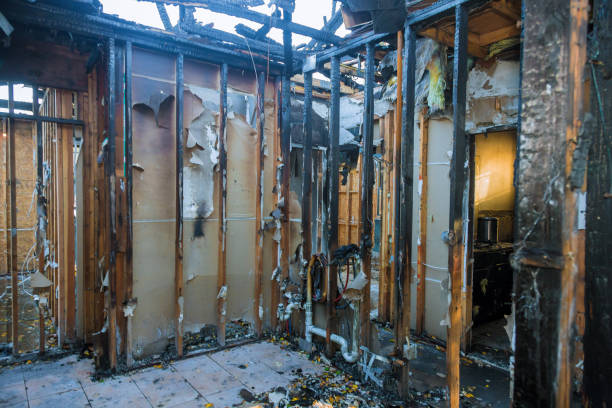 Professional Soot Cleanup technician working in Cottage Grove, MN